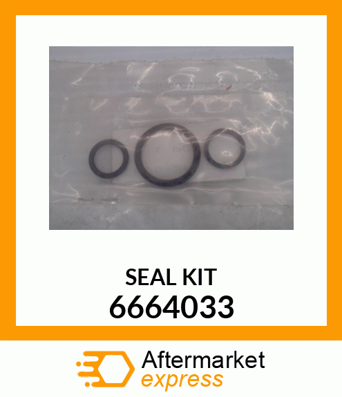 SEAL_KIT 6664033