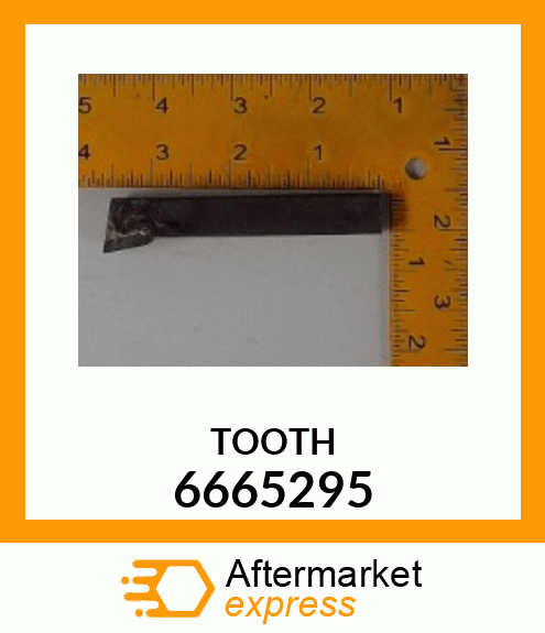 TOOTH 6665295