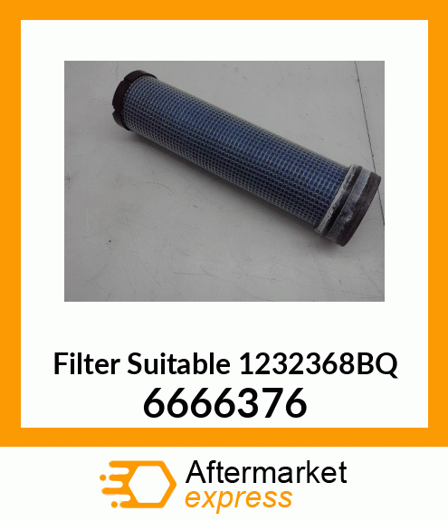 Filter Suitable 1232368BQ 6666376