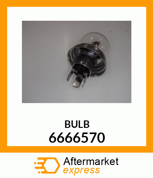 BULB 6666570