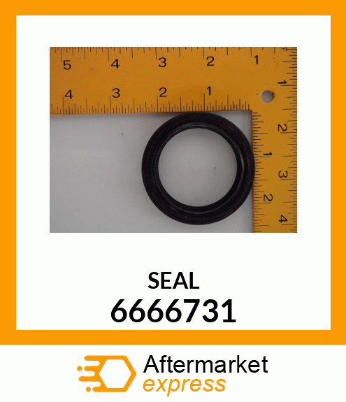 SEAL 6666731