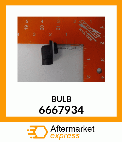 BULB 6667934