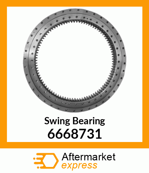 Swing Bearing 6668731