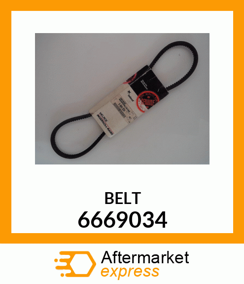 BELT 6669034