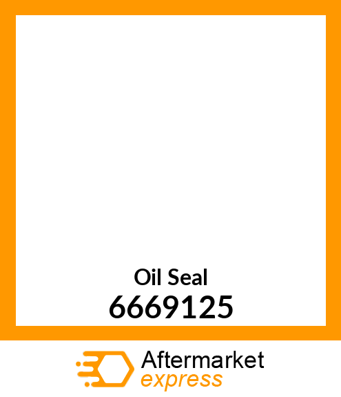 Oil Seal 6669125