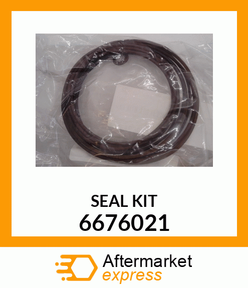 SEAL_KIT 6676021