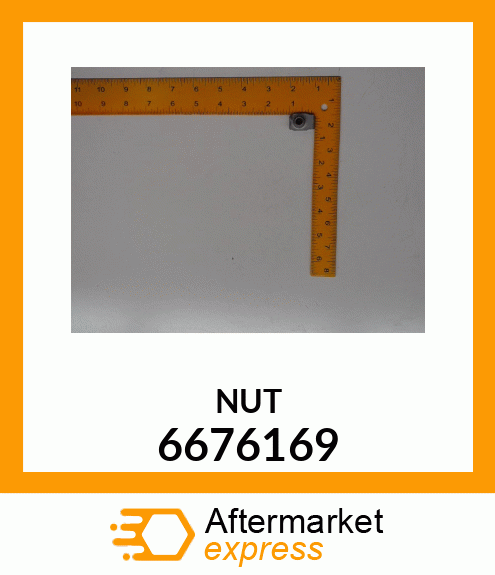 NUT 6676169