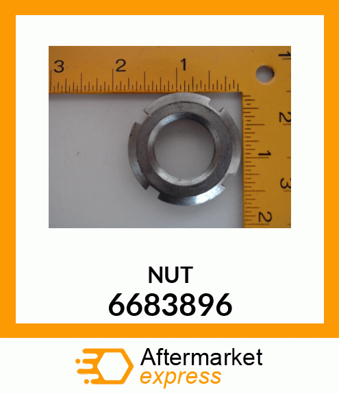 NUT 6683896