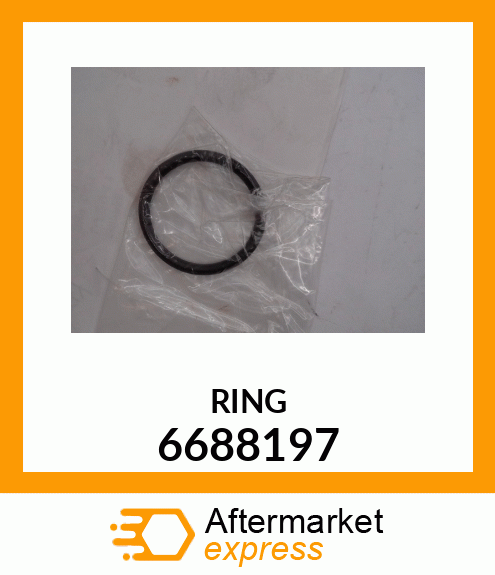 RING 6688197