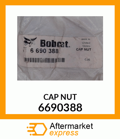 CAP NUT 6690388