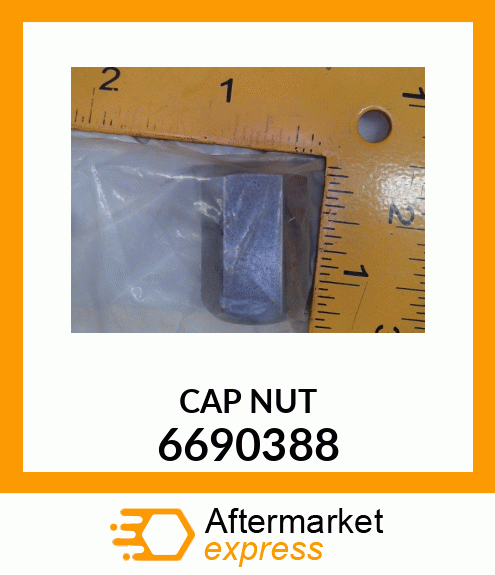 CAP NUT 6690388