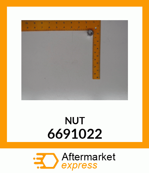 NUT 6691022