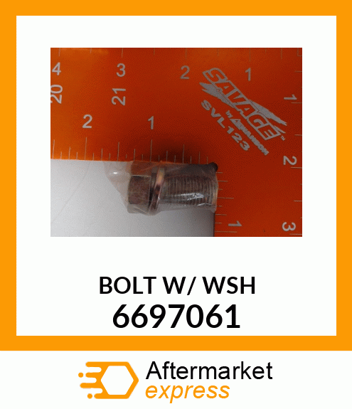 BOLT_W/_WSH 6697061