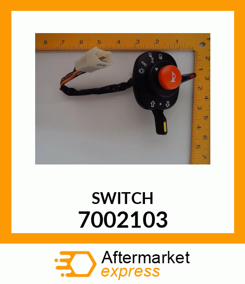 SWITCH 7002103