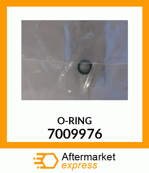 O-RING 7009976