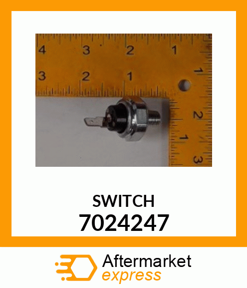 SWITCH 7024247