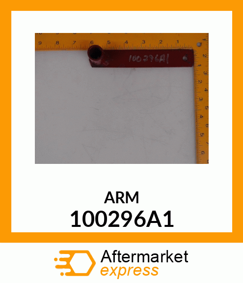 ARM 100296A1