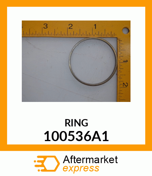 RING 100536A1