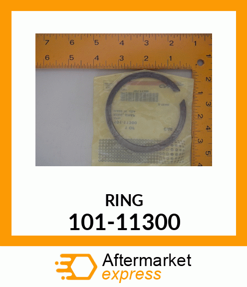 RING 101-11300