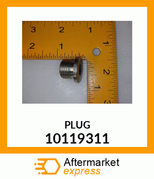 PLUG 10119311