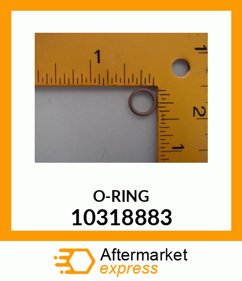 O-RING 10318883