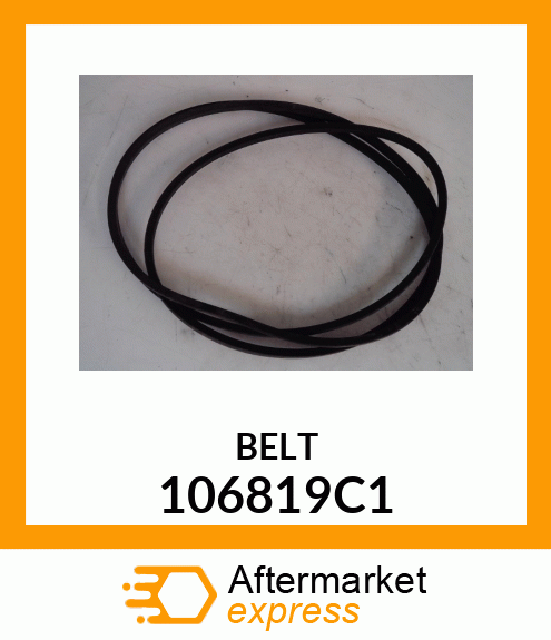 BELT 106819C1