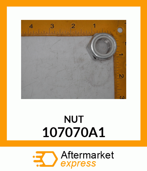 NUT 107070A1