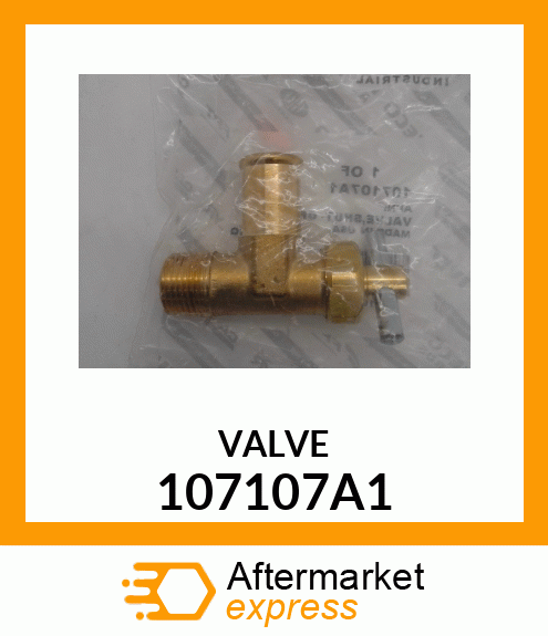 VALVE 107107A1