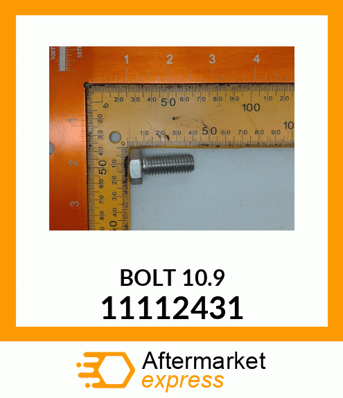 BOLT_10.9 11112431