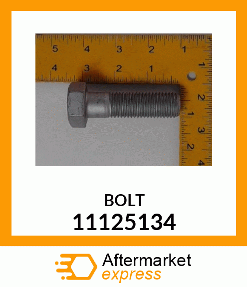 BOLT 11125134