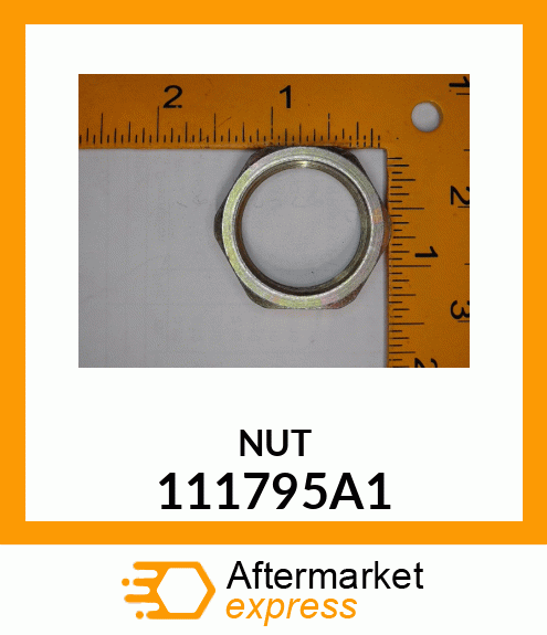 NUT 111795A1