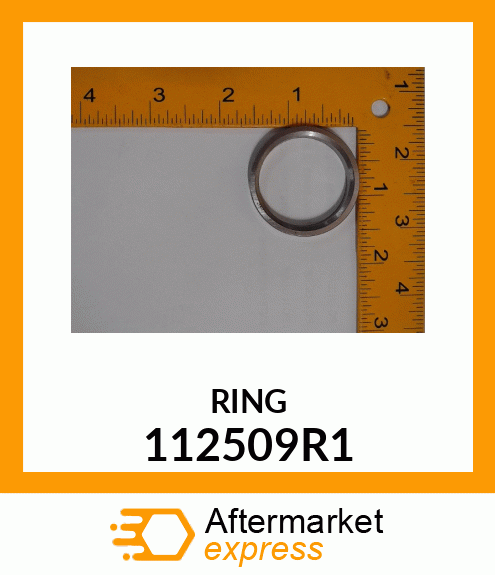 RING 112509R1