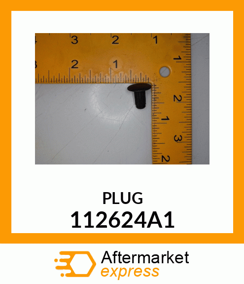 PLUG 112624A1