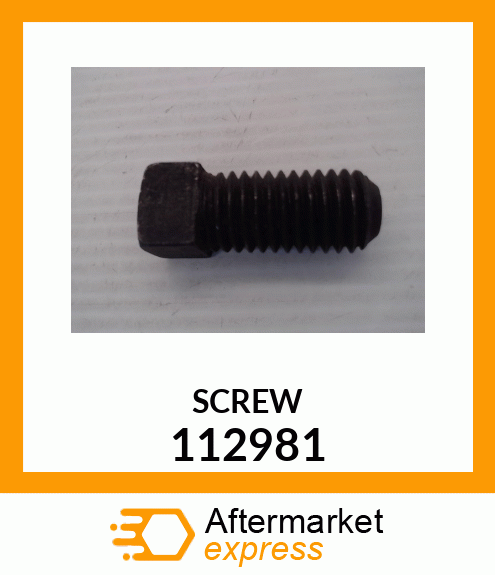 SCREW 112981