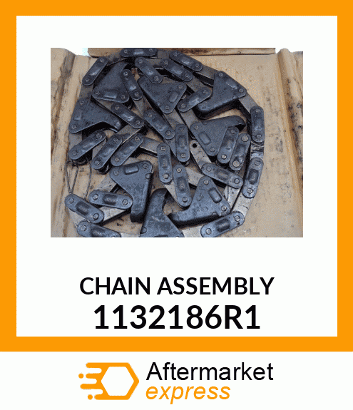 CHAIN_ASSY 1132186R1