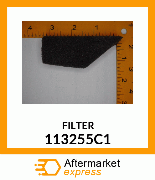 FILTER 113255C1