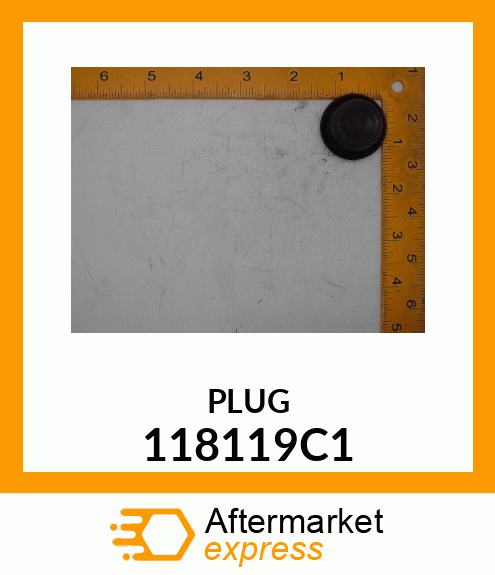 PLUG 118119C1