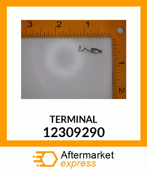 TERMENAL 12309290