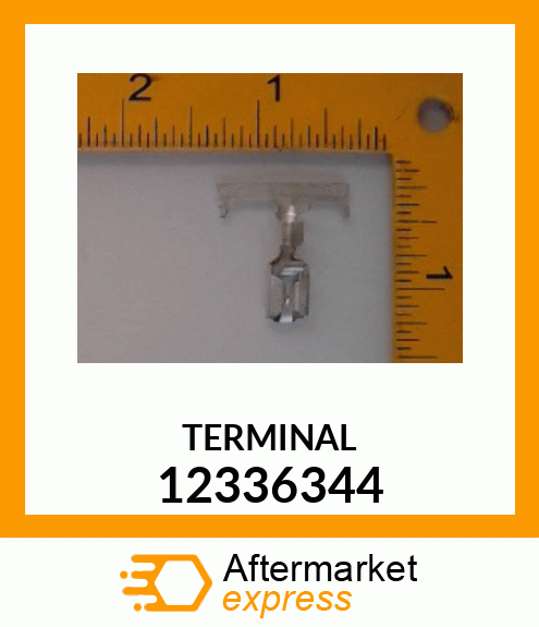 TERMINAL 12336344