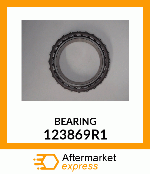 BEARING 123869R1