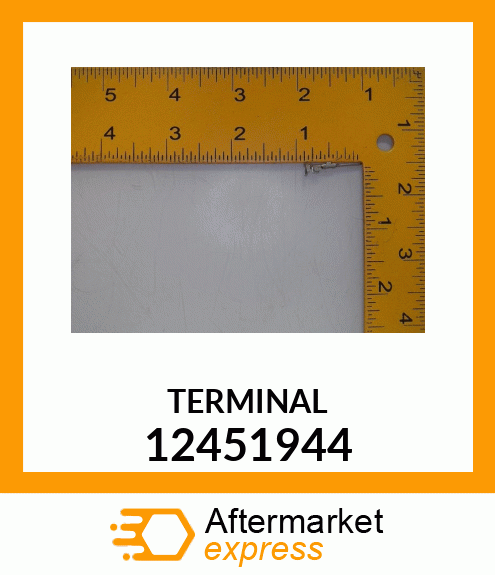 TERMINAL 12451944