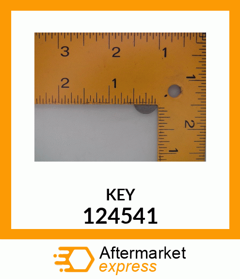 KEY 124541