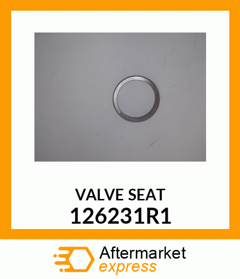 VALVE_SEAT 126231R1