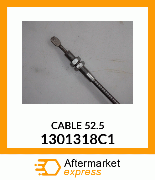 CABLE 1301318C1