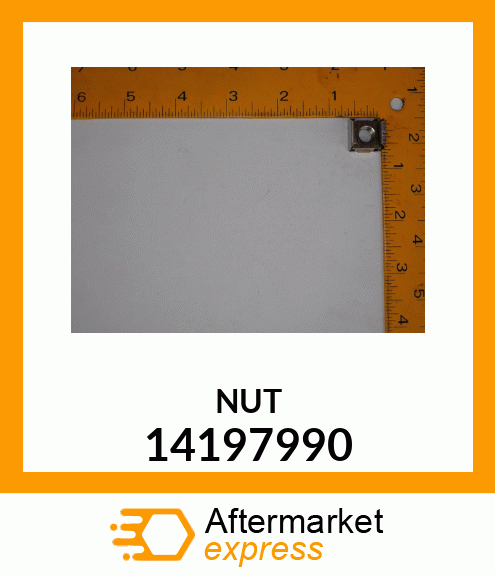 NUT 14197990