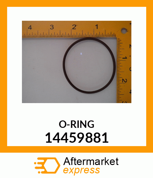 O-RING 14459881