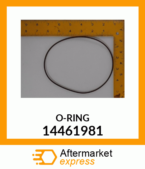 ORING 14461981