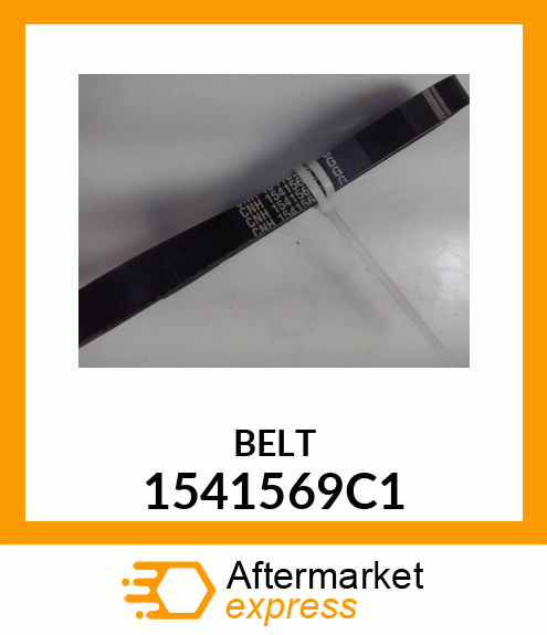 BELT 1541569C1