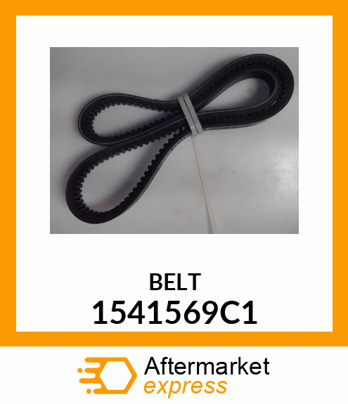 BELT 1541569C1