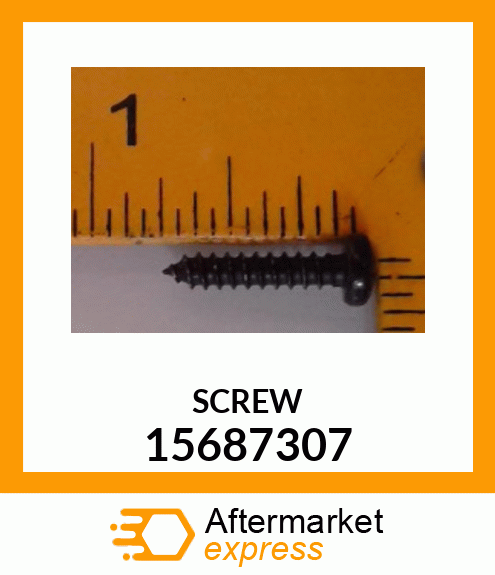 SCREW 15687307